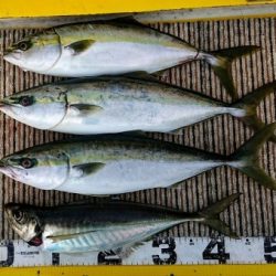 火遠理丸(ほおりまる) 釣果