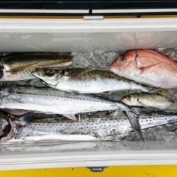 火遠理丸(ほおりまる) 釣果