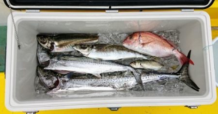 火遠理丸（ほおりまる） 釣果