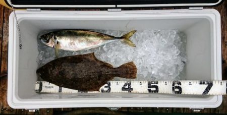 火遠理丸(ほおりまる) 釣果