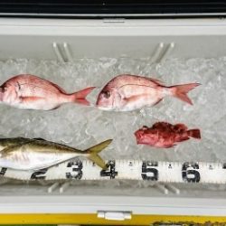 火遠理丸(ほおりまる) 釣果