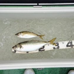 火遠理丸(ほおりまる) 釣果