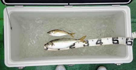 火遠理丸(ほおりまる) 釣果