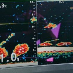 火遠理丸(ほおりまる) 釣果