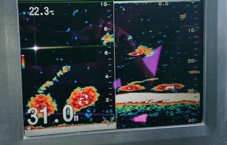 火遠理丸(ほおりまる) 釣果