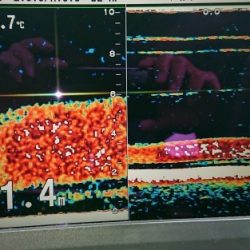 火遠理丸(ほおりまる) 釣果