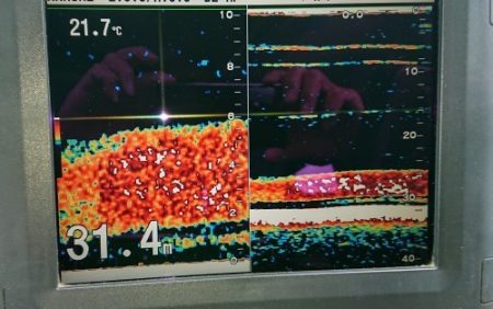 火遠理丸(ほおりまる) 釣果