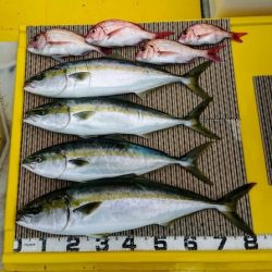 火遠理丸(ほおりまる) 釣果