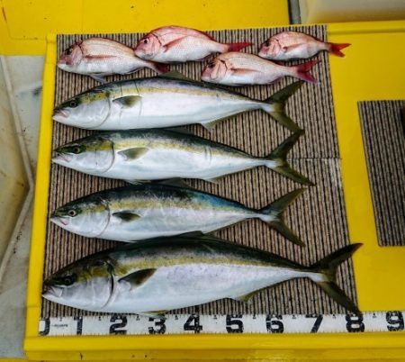 火遠理丸（ほおりまる） 釣果