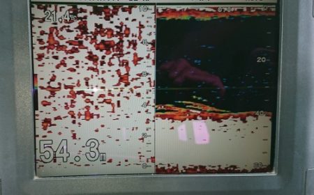 火遠理丸(ほおりまる) 釣果