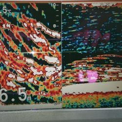 火遠理丸(ほおりまる) 釣果