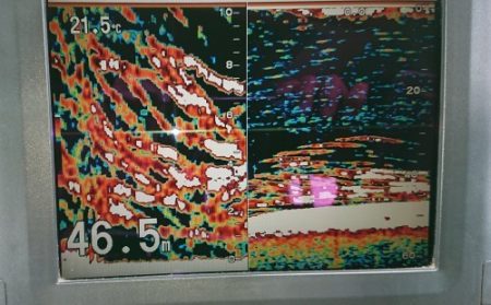 火遠理丸(ほおりまる) 釣果