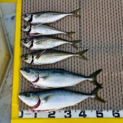 火遠理丸(ほおりまる) 釣果