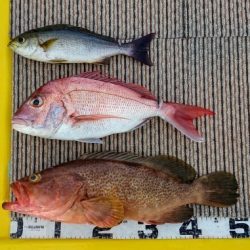 火遠理丸(ほおりまる) 釣果