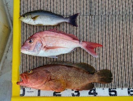 火遠理丸(ほおりまる) 釣果