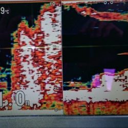 火遠理丸(ほおりまる) 釣果