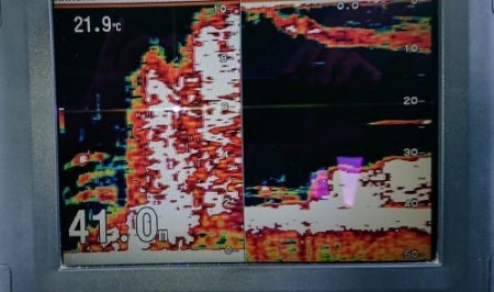 火遠理丸(ほおりまる) 釣果