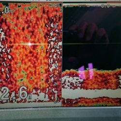 火遠理丸(ほおりまる) 釣果