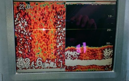 火遠理丸(ほおりまる) 釣果