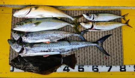 火遠理丸(ほおりまる) 釣果