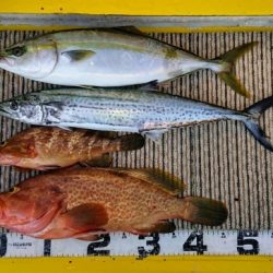 火遠理丸(ほおりまる) 釣果