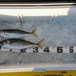 火遠理丸(ほおりまる) 釣果