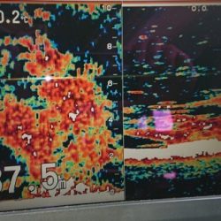 火遠理丸(ほおりまる) 釣果