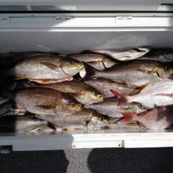 第二大福丸 釣果