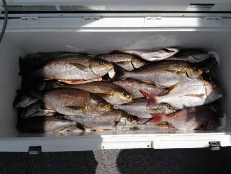 第二大福丸 釣果