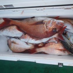 第二むつ漁丸 釣果