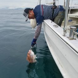 遊漁船 ニライカナイ 釣果