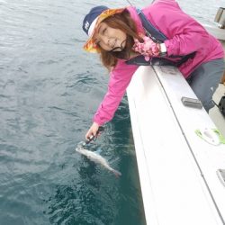 遊漁船 ニライカナイ 釣果