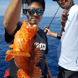 海峰 釣果