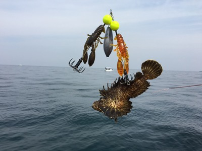 ミタチ丸 釣果