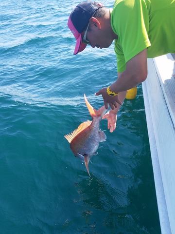 遊漁船 ニライカナイ 釣果