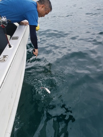 遊漁船 ニライカナイ 釣果