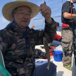 Magic(マジック) 釣果