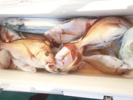 第二むつ漁丸 釣果