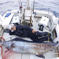 TOPGUN名古屋 釣果