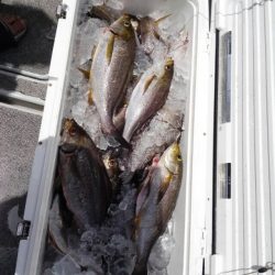 第二大福丸 釣果