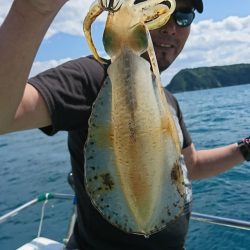 シードリーム 釣果