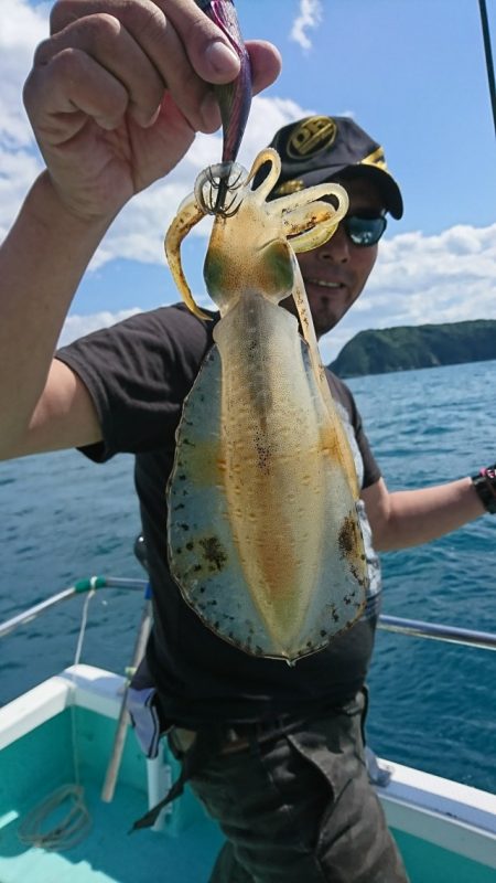 シードリーム 釣果