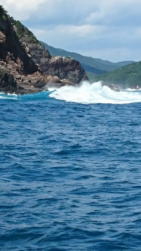 シードリーム 釣果