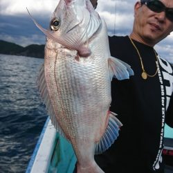 シードリーム 釣果