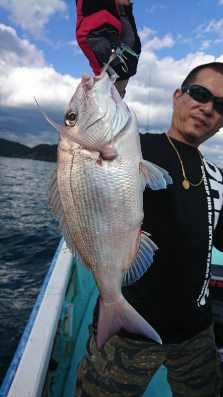 シードリーム 釣果