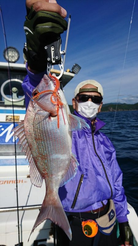 シードリーム 釣果