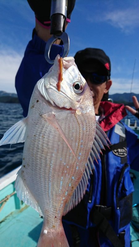 シードリーム 釣果