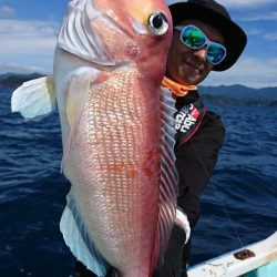 シードリーム 釣果