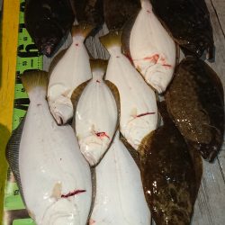 魁皇 釣果