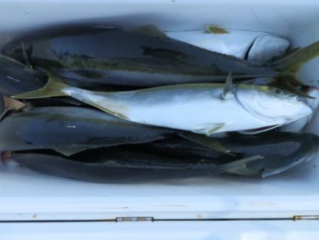 第二むつ漁丸 釣果